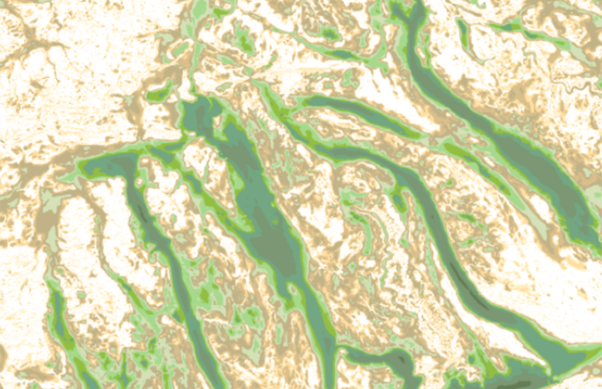 overview