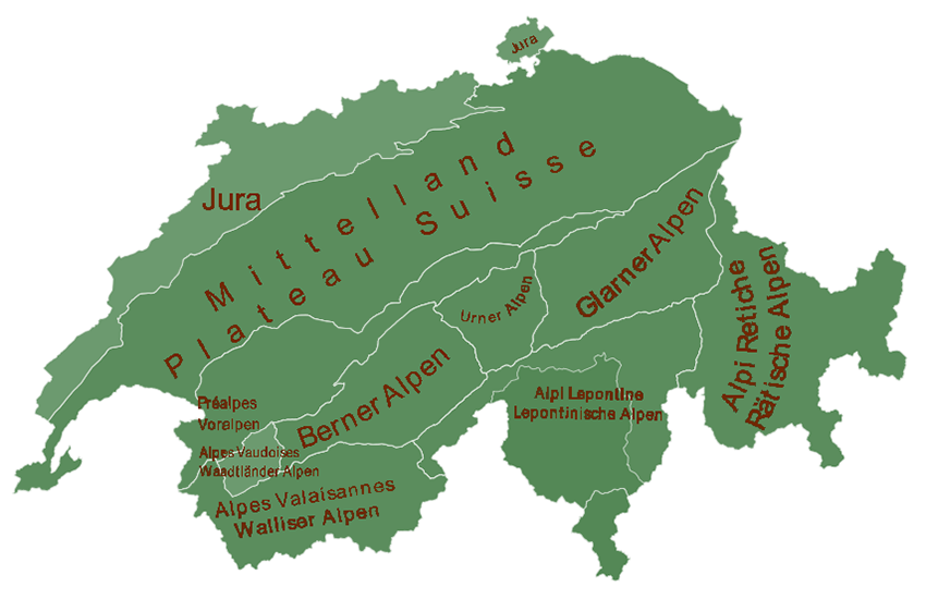 overview